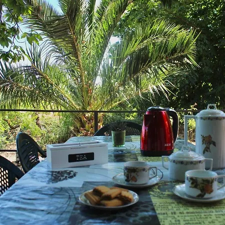 La Casetta Nel Bosco Per Turisti Holiday home
