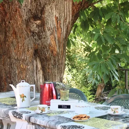 La Casetta Nel Bosco Per Turisti Casa vacanze Castelbuono (Sicily)