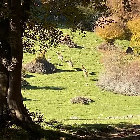La Casetta Nel Bosco Per Turisti Holiday home *